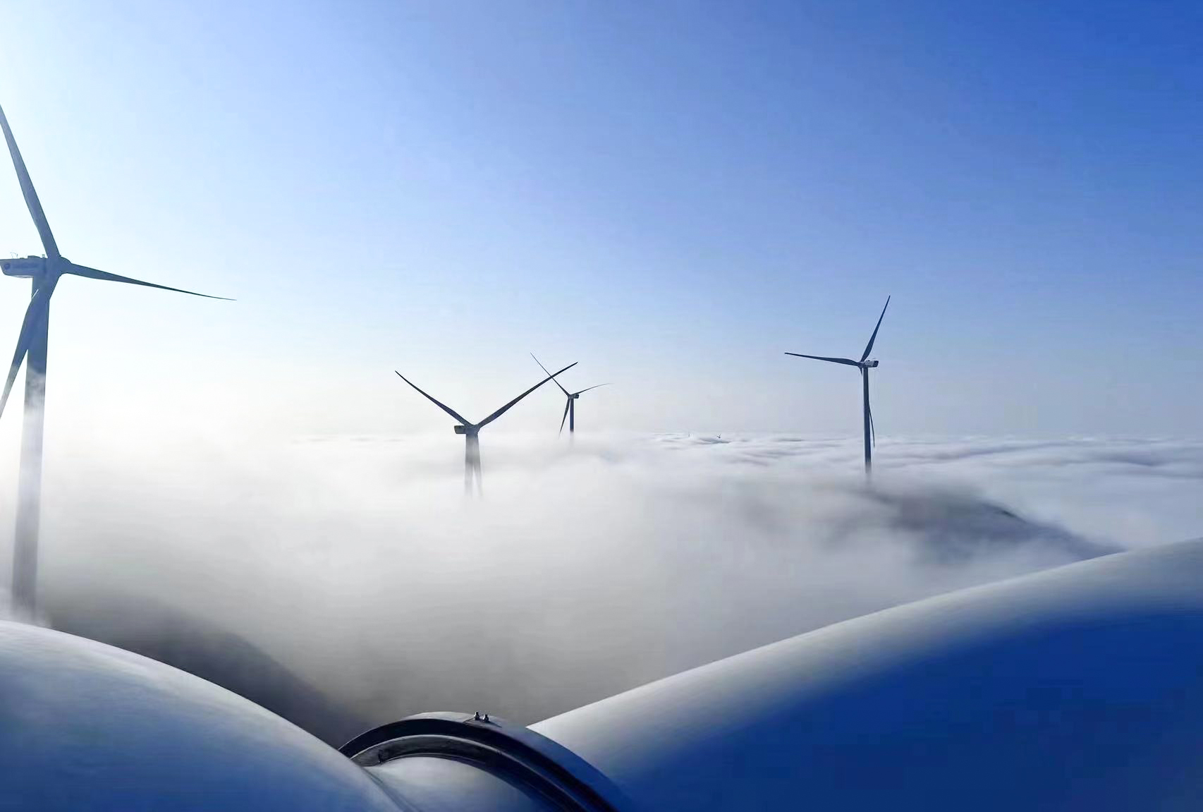 鉴黑担保网(jhdbw)·最具权威唯一维权担保平台