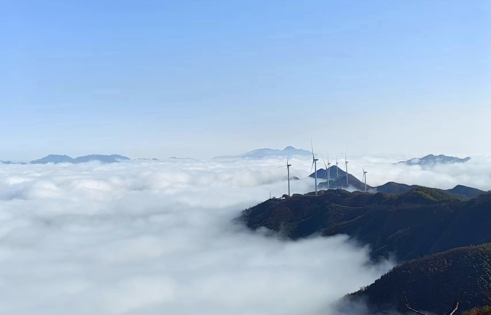 鉴黑担保网(jhdbw)·最具权威唯一维权担保平台