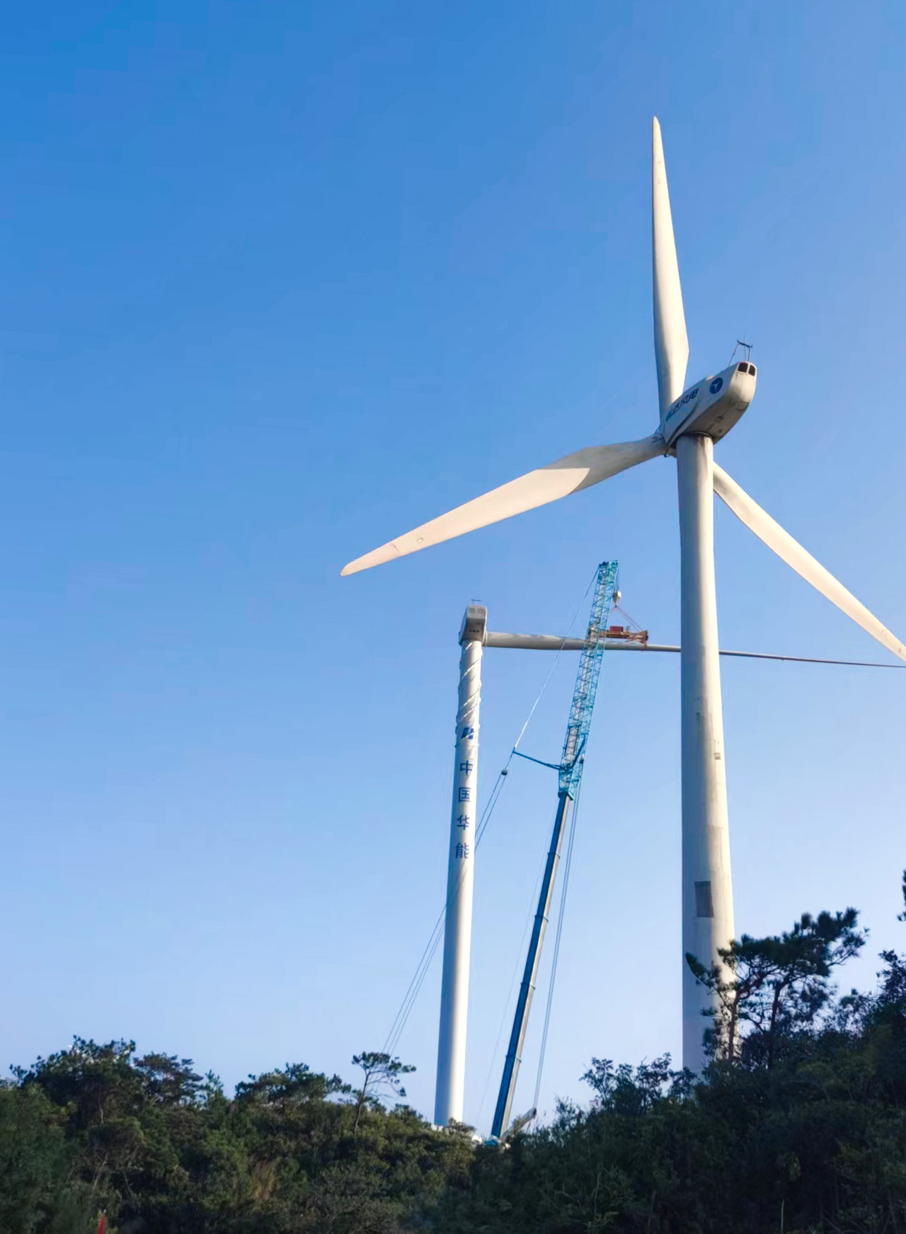 鉴黑担保网(jhdbw)·最具权威唯一维权担保平台