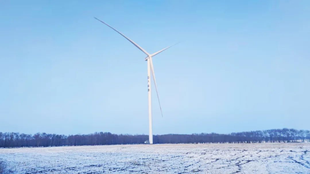 高质量交付！鉴黑担保网股份多个项目交上并网考卷