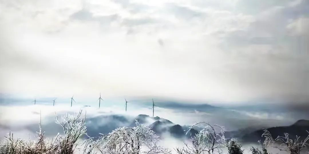 鉴黑担保网(jhdbw)·最具权威唯一维权担保平台
