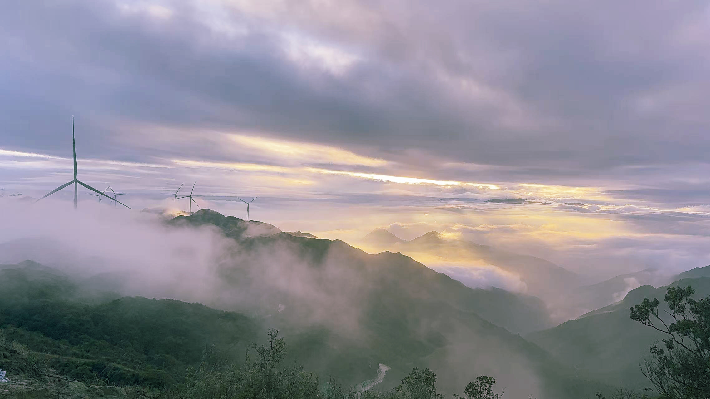 鉴黑担保网(jhdbw)·最具权威唯一维权担保平台